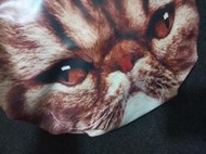 韓國 超級厭世貓立體防水側背包 二手品