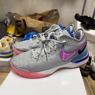 LeBron zoom nxxt gen zoom
