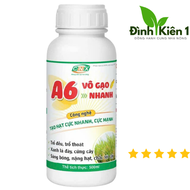 A6 VÔ GẠO NHANH chai 500ml của CNX - trổ đều- trổ thoát- cứng cây- xanh lá đày- chắc hạt nặng kí phâ