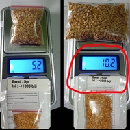 Benih/Bibit Cabe Rawit Hijau Lokal 5gr & 10gr isi (-+1000 & -+2000) biji/butir benih Berkualitas Cab