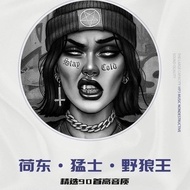 Hedong Car cd Disc Scooter Classic dj Subwoofer Dance cd Large Capacity Car cd 8.12