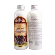CAVIAR SHAMPOO / SHAMPOO KUDA