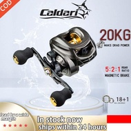 REEL Spot Indonesia Fishing Reel Casting Bc 7.2:1 High Speed 13BB 10KG Max Drag Grey Golden Jigging