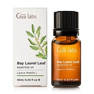 Bay Leaf (Laurel) Essential Oil - 100% Pure Therapeutic Grade for Hair, Skin, Relaxation - 10ml