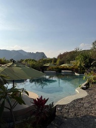 Bosque Geométrico (Bosque Geometrico)