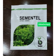 Bibit Benih Bejo Seed - Selada Batavia Sementel Kemasan 1000 pills