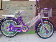 Sepeda anak mini 20 inch nterbike murah