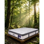 Eclipse Rejuvenate | 13 Inches ( 33cm ) | 15 Years Warranty