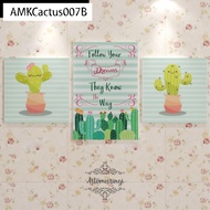 Artomaringi Cactus Cactus Display Cactus Cactus Succulent