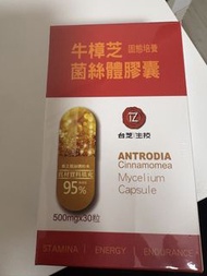 牛樟芝膠囊 固態培養 95%