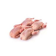 Burung puyuh / Quail (10 ekor) - Grade C