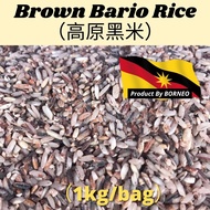 Sarawak Black Bario RIce 砂拉越高山黑糙米 1kg