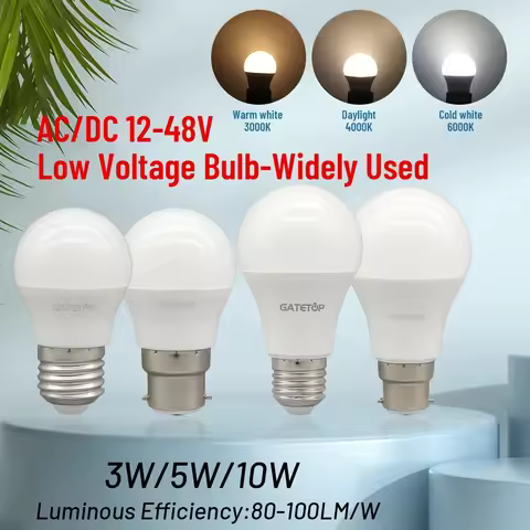 10PCS 12-48 Volt Low Voltage LED Light Bulb E27 B22 5W 10W Lighting Cold Warm White Lamp Work with S