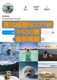 【數位資產販售】IG帳號販售 5077粉絲 追蹤 IG TIKTOK YT 抖音 Instagram youtube