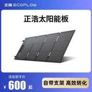 ECOFLOW Zhenghao Bekalan Kuasa Luaran Panel Penjana Kuasa Tinggi Suria Panel Fotovoltaik 110W/160W/2