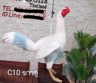 ไก่ยางตุ๊กตา ไก่ล่อ ไก่นวม ตุ๊กตาไก่ชน เหมือนไก่จริงที่สุด ไก่ยางซิลิโคน ฝึกซ้อมไก่ Rooster Dolls