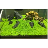 (SH) Fish Tank Filter HBL 801/ 802/ 803