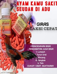 OBAT AYAM AMPUH REAKSI CEPAT OBAT AYAM BANGKOK GIRAS OBAT AYAM TURUN URAT LUMPUH BENGKAK SABUNG