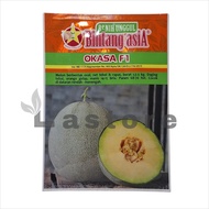 Benih Melon OKASA F1Rock Melon Isi 20 Gram Benih Bintang Asia