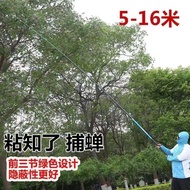 Stick Cicada Stick Telescopic Cicada Catcher Stick Cicada Catcher Tool Sticky Cicada Stick 81013m Ci