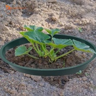 [Gamchiano] 3Pcs Plant Rings Multipurpose Porch Planting Grow Rings Planting Rings Garden Rings