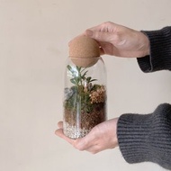 苔蘚微景觀玻璃罐