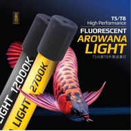 祥龙传奇 Sianlon Arowana Tanning Light 2700/6700/12000k