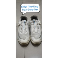 Boa system GTX Trekking Shoes