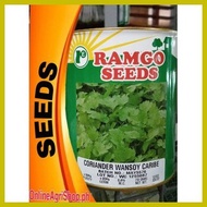 ☌ ▥ ❡ CORIANDER / WANSOY / KULANTRO / CILANTRO (250 GRAMS) BY RAMGO