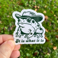 "1PC 3 Inch Removable Waterproof Vinyl Creative 'It Is What It Is' Funny Cowboy Frog Aesthetic Retro