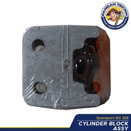 Cylinder Block Assy BG328