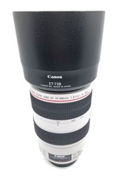 Canon 70-300mm F4-5.6