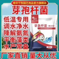 Spore Bacillus Aquaculture Shrimp Crab Fish Pond Modified Bottom Purification Water Regulating Ferti