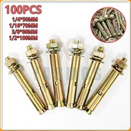 ☋♞✁100pcs expansion bolt screw concrete expansion bolt metal dynamic anchor bolt 1/4 5/16 3/8 1/2 co