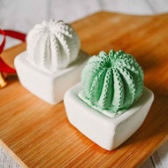 仙人掌多肉盆栽 擴香石 聖誕節交換禮物