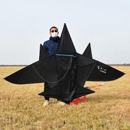 新款風箏大全飛機風箏2023新款風箏成人兒童卡通黑戰鬥機高檔大響