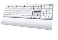 ㊣USA Gossip㊣ Azio Mk Mac 專用 機械式 鍵盤 白底光