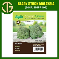 【FAST SHIPPING】Baba VE-046 Smart Grow Broccoli Seed - Vegetable Seed [50 Seeds]