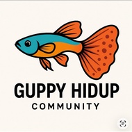 guppies live pair (1m&1f)