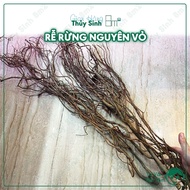 _ Whole Forest Roots | Flexible Forest Roots for Aquarium Decoration, Semi-terrain, Reptiles | 8m2