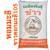 เมล็ดพันธุ์ข้าวหอมมะลิ ขาวดอกมะลิ105 ผลิดโดยศูนย์เมล็ดพันธุ์ข้าว กรมการข้าว (ใช้สำหรับปลูกนาปี 2568)