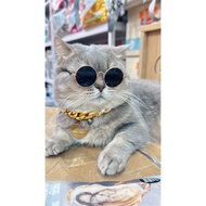 Sunglasses, fashion pet sunglasses, pet sunglasses, pet accessories