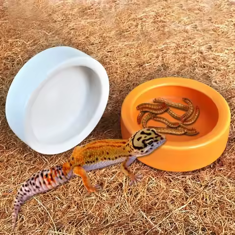 Ceramic Aquarium Pet Reptile Feeder Bowl Basin Food Water Pot Reptile Turtle Tortoise Scorpion Lizar