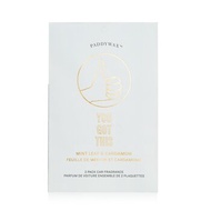 Paddywax Impressions 汽車香薰 - You Got This 2packs