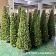 Conical Pine Christmas Tree Ornaments Simulation Potted Plant Floor Fir Tree Indoor Outdoor Bonsai N