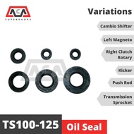 Oil Seal for Suzuki TS 100/ TS 125/ (TS100/TS125)