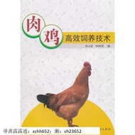 正版書籍 A6 肉雞高效飼養技術 中山大學出版社 書 正版