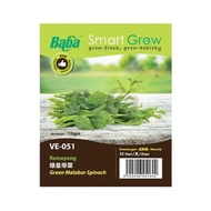 Baba Smart Grow Seed: VE-051 Green Malabar Spinach 绿皇帝菜 Remayong Biji Benih