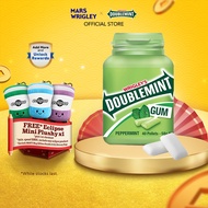 Doublemint Peppermint Bottle Gum / Chewing