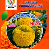 Super Dwarf Marigold Mini PH20 Lemon Yellow Phoenix Seeds